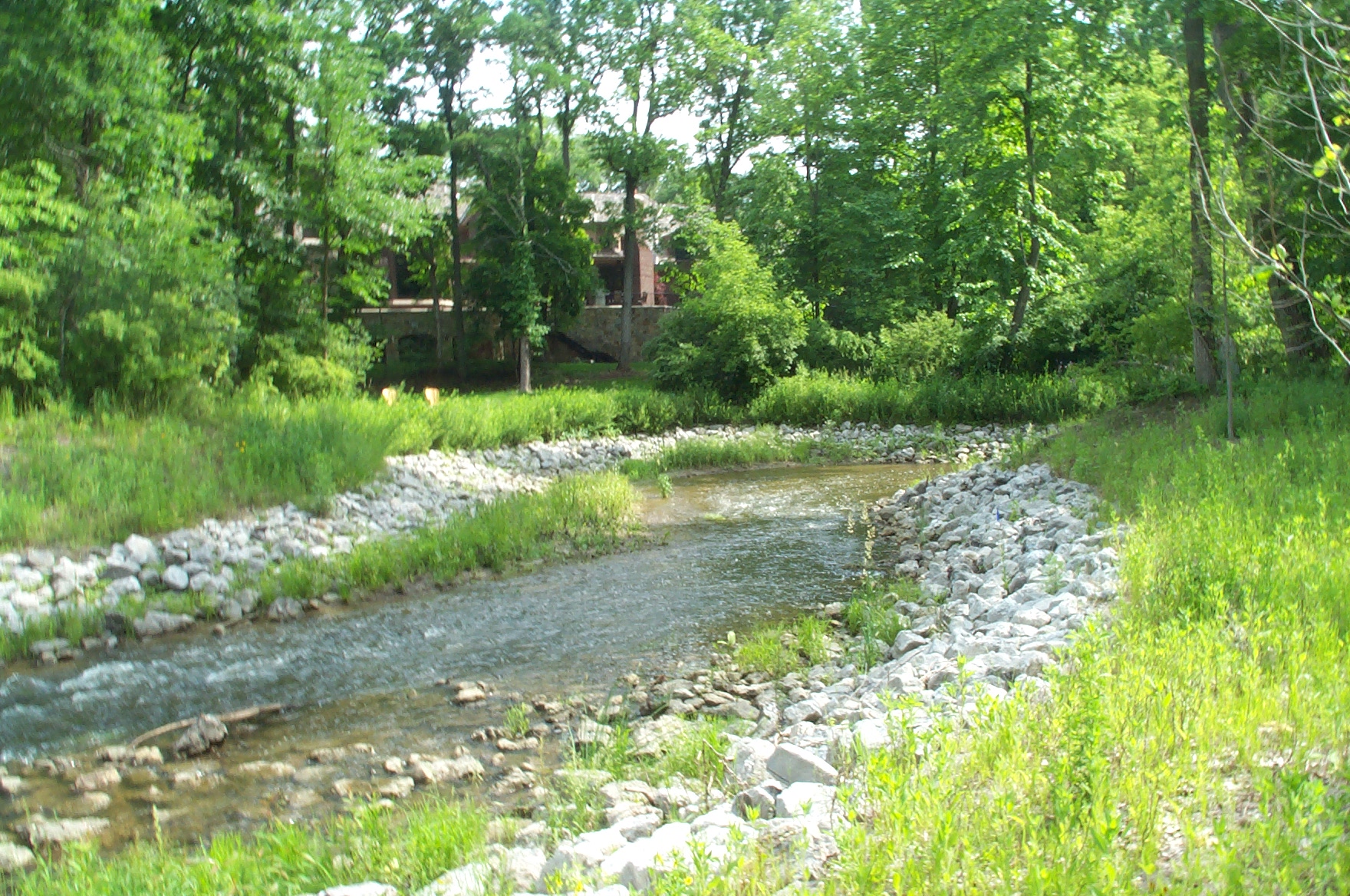 DCP_5729.JPG